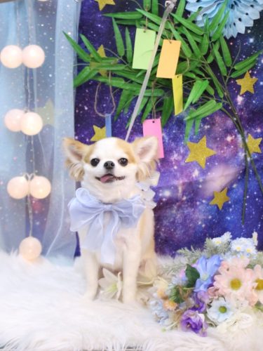 20250712くうくん